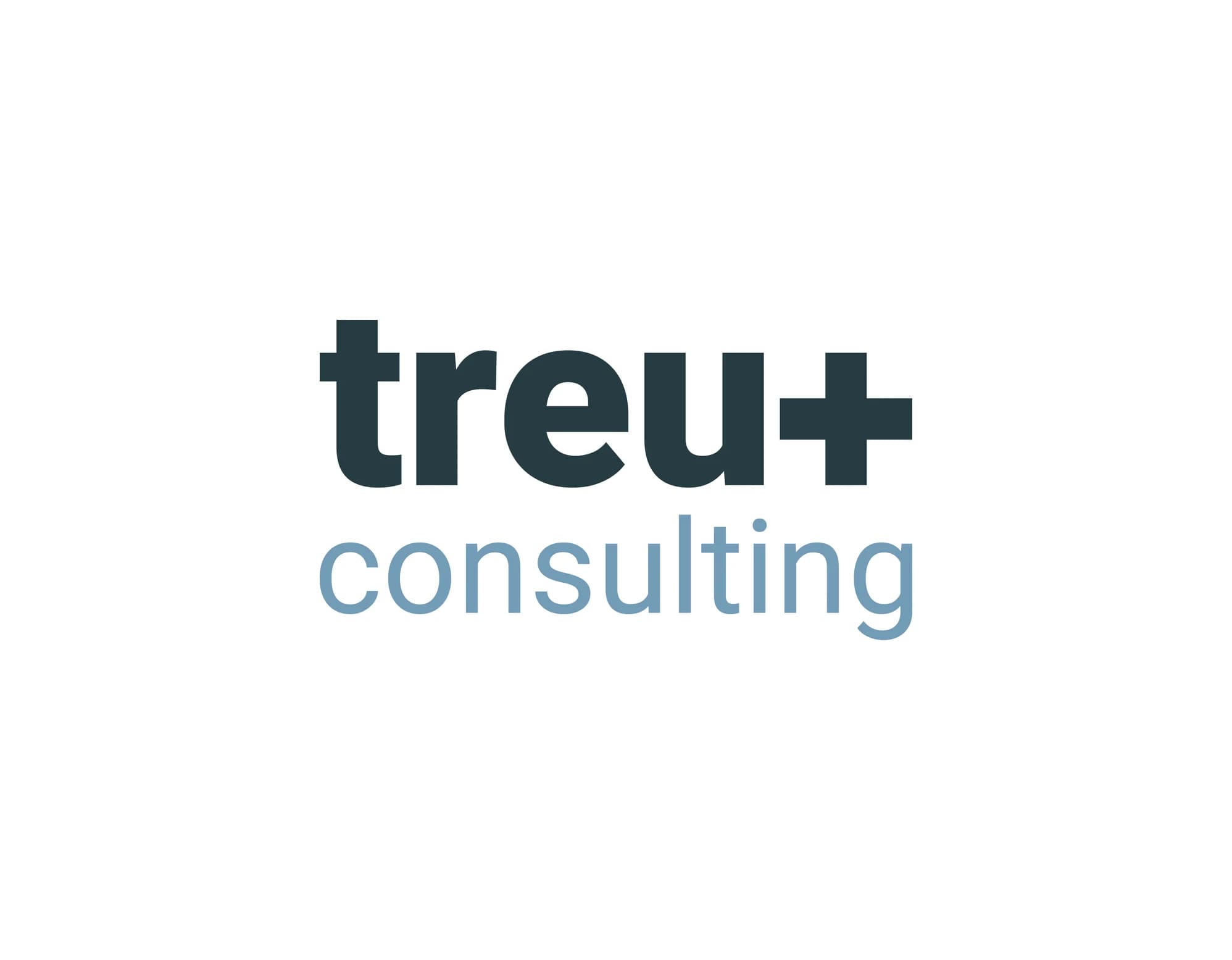 treuplus consulting gmbh